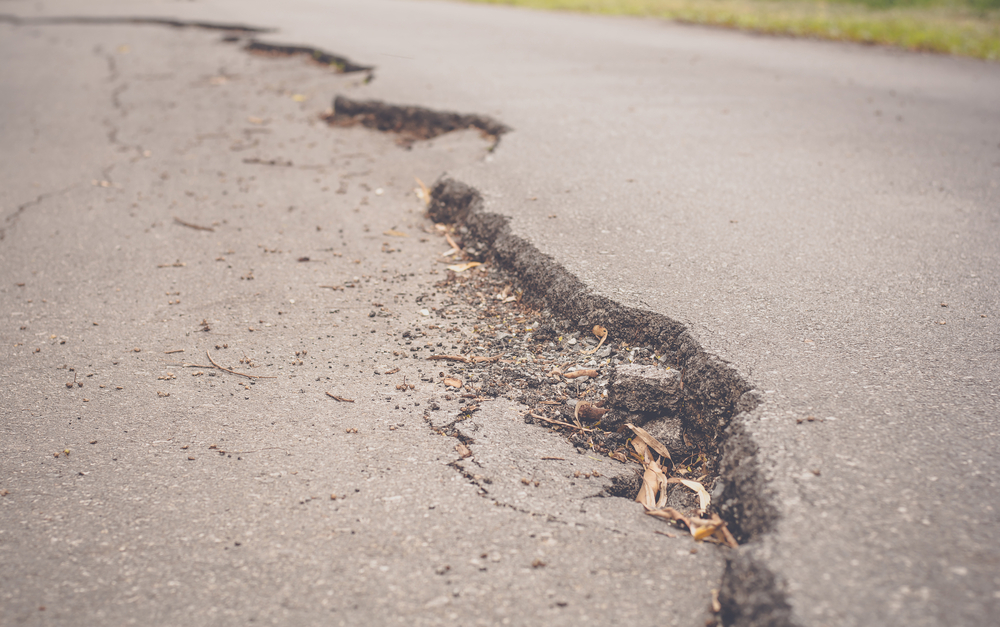 Insurance Lawyers Affected by Disaster Dip in NZ