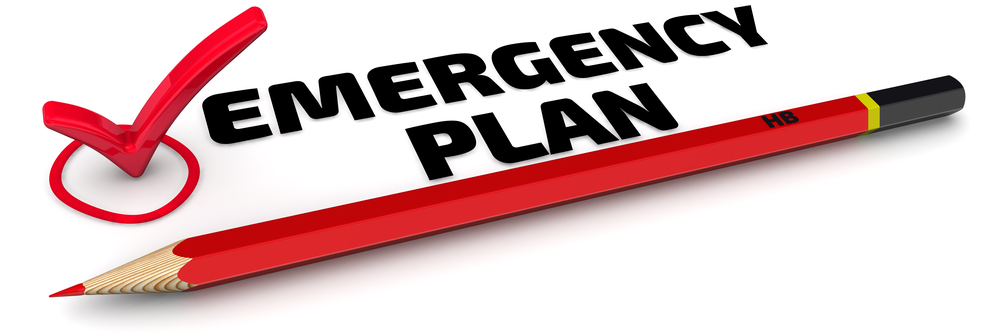 Emergency Management Planning in Wake of Natural Disasters